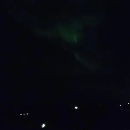 Aurora Nest *